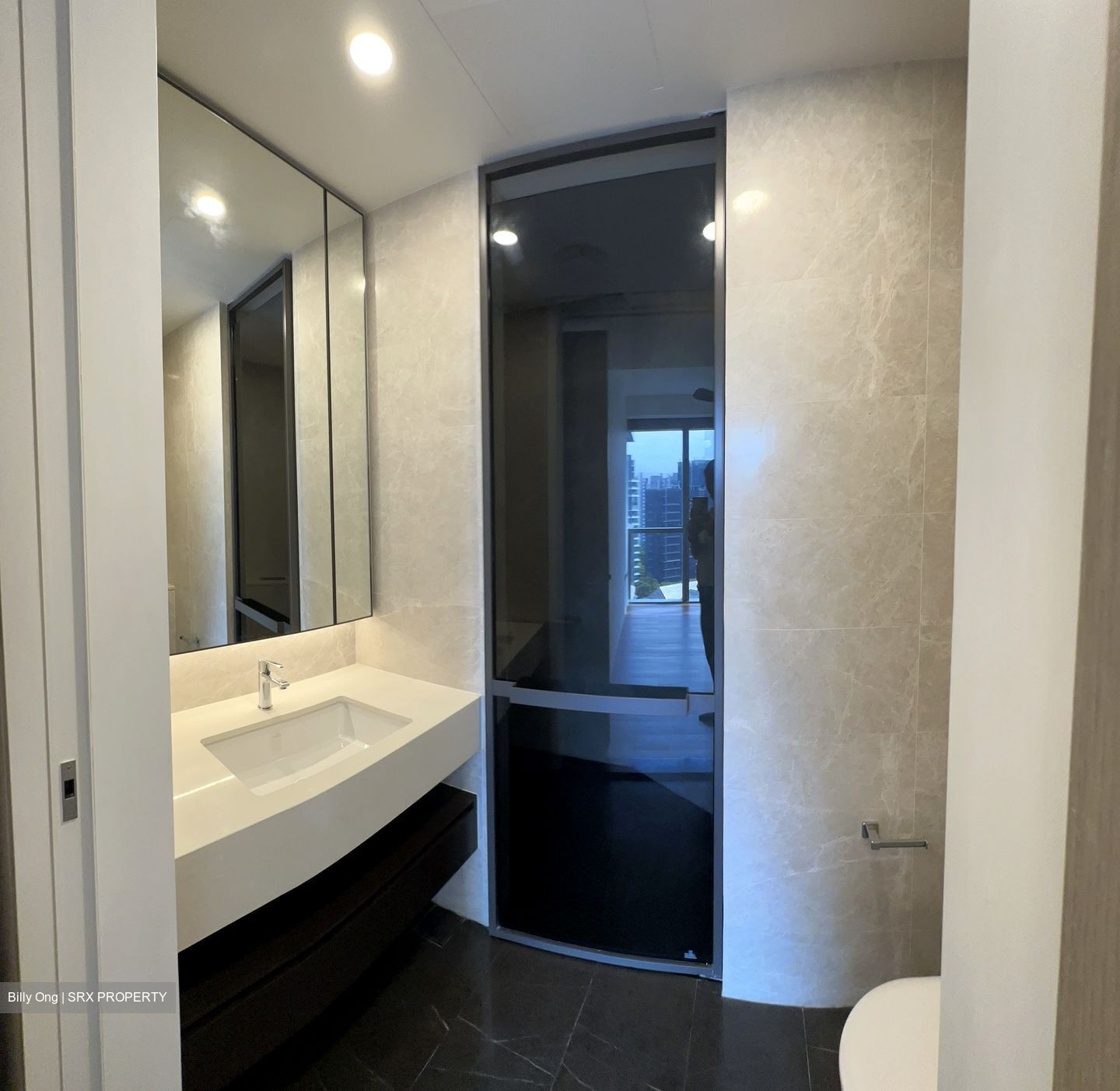 Amber Park (D15), Condominium #433750521